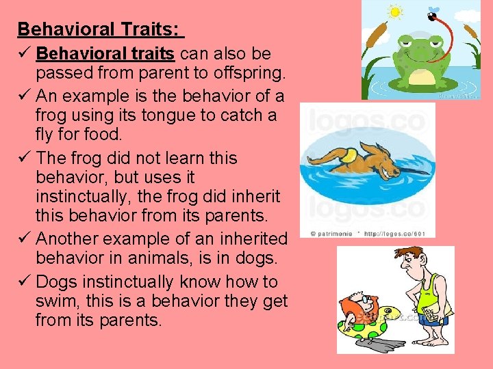 Behavioral Traits: ü Behavioral traits can also be passed from parent to offspring. ü