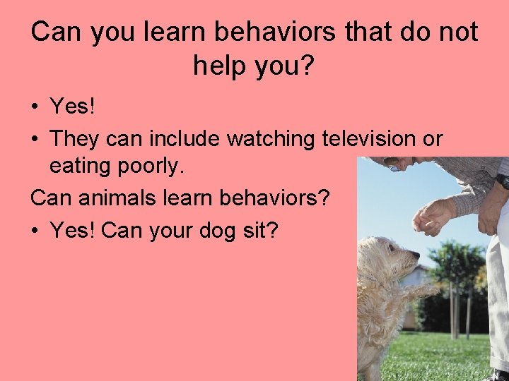 Can you learn behaviors that do not help you? • Yes! • They can