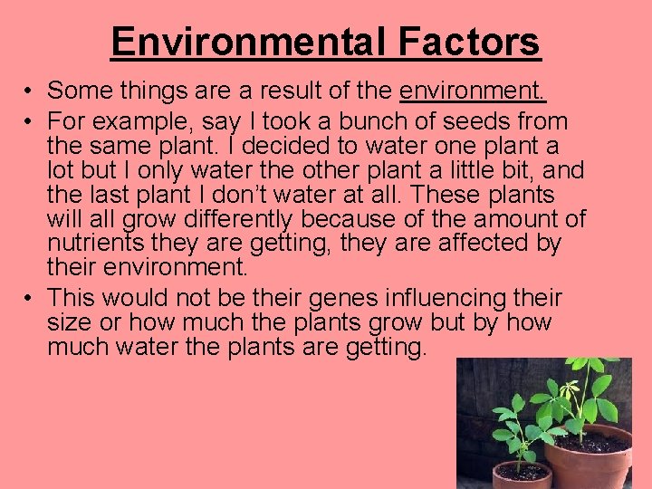 Environmental Factors • Some things are a result of the environment. • For example,