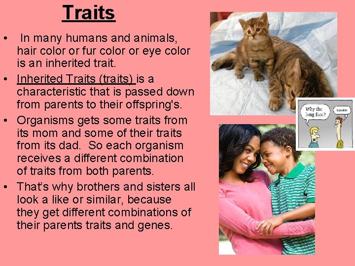 Traits • In many humans and animals, hair color or fur color or eye