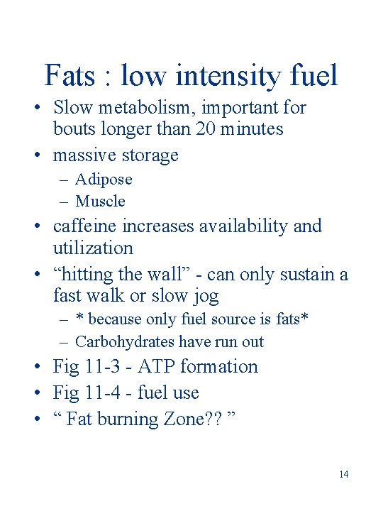 Fats : low intensity fuel • Slow metabolism, important for bouts longer than 20