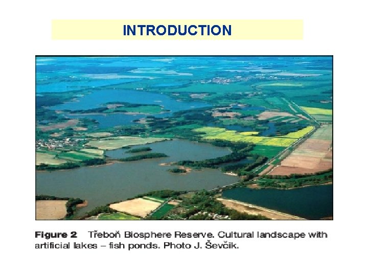 INTRODUCTION INTRODUCTION