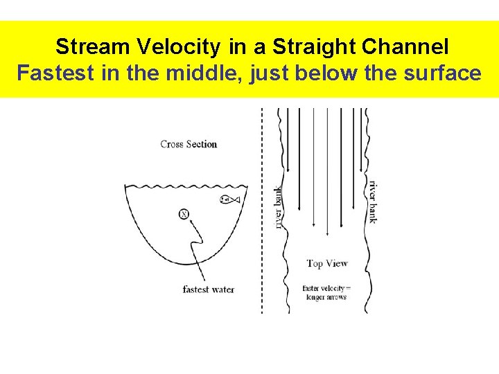 Stream Velocity in a Straight Channel Fastest in the middle, just below the surface