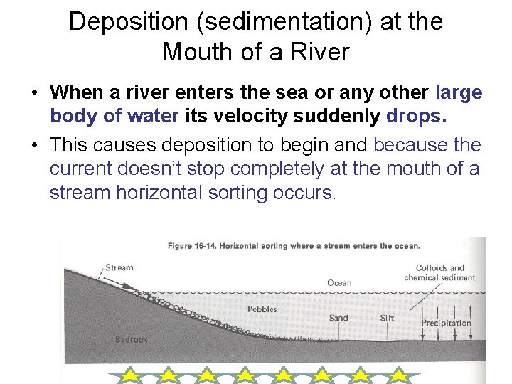 Deposition (sedimentation) at the Mouth of a River • When a river enters the