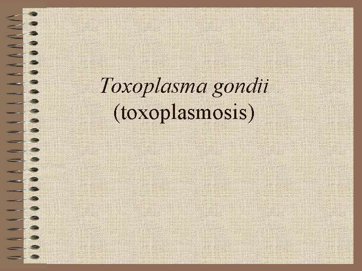 Toxoplasma gondii (toxoplasmosis) 