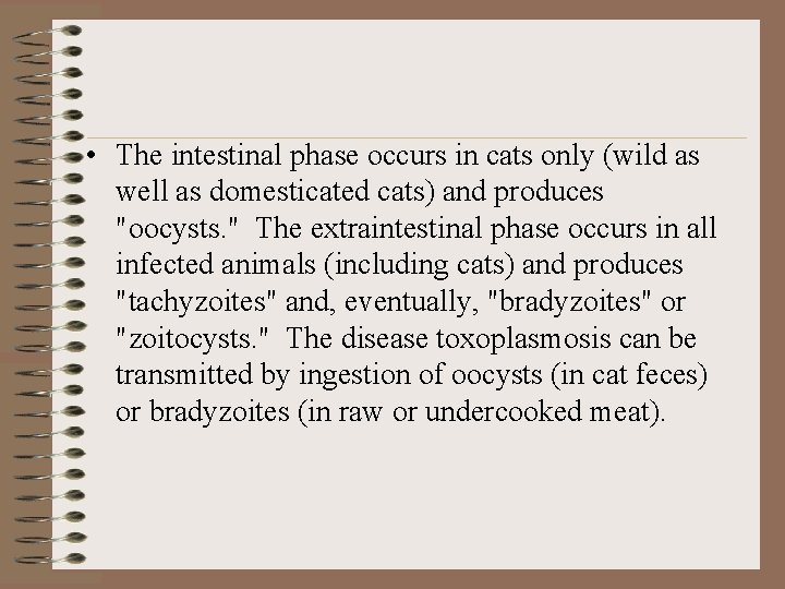  • The intestinal phase occurs in cats only (wild as well as domesticated