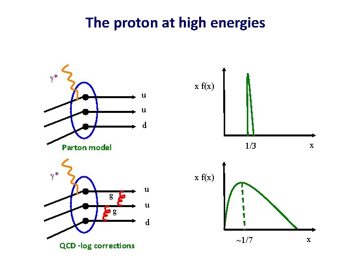 The proton at high energies * u x f(x) u d 1/3 Parton model The proton at high energies * u x f(x) u d 1/3 Parton model