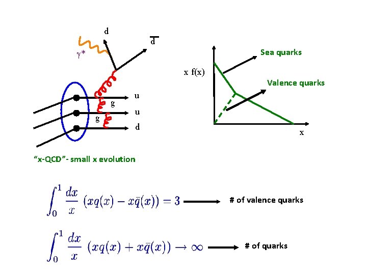 d d Sea quarks * x f(x) g g Valence quarks u u d d d Sea quarks * x f(x) g g Valence quarks u u d