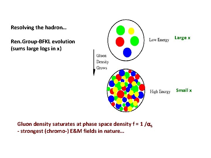 Resolving the hadron… Ren. Group-BFKL evolution (sums large logs in x) Large x Small Resolving the hadron… Ren. Group-BFKL evolution (sums large logs in x) Large x Small