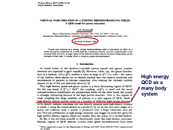 High energy QCD as a many body system High energy QCD as a many body system