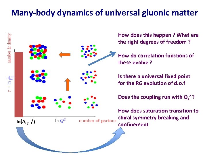 Many-body dynamics of universal gluonic matter How does this happen ? What are the Many-body dynamics of universal gluonic matter How does this happen ? What are the