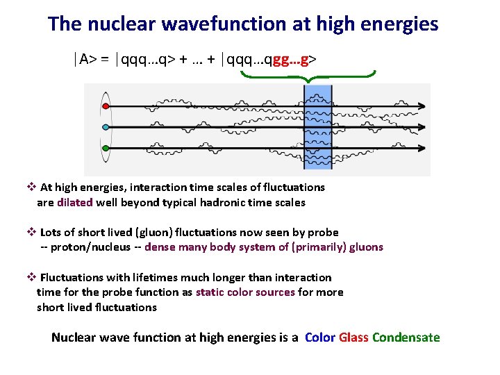 The nuclear wavefunction at high energies |A> = |qqq…q> + … + |qqq…qgg…g> v The nuclear wavefunction at high energies |A> = |qqq…q> + … + |qqq…qgg…g> v