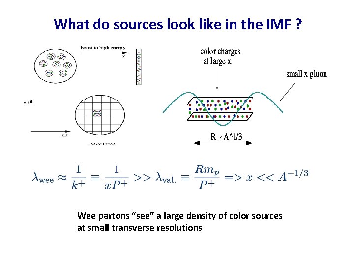 What do sources look like in the IMF ? Wee partons “see” a large What do sources look like in the IMF ? Wee partons “see” a large