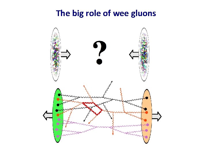 The big role of wee gluons The big role of wee gluons