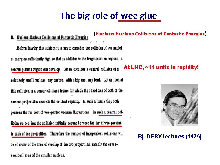 The big role of wee glue (Nucleus-Nucleus Collisions at Fantastic Energies) At LHC, ~14 The big role of wee glue (Nucleus-Nucleus Collisions at Fantastic Energies) At LHC, ~14