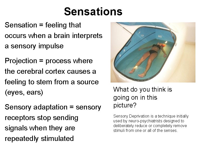 Sensations Sensation = feeling that occurs when a brain interprets a sensory impulse Projection