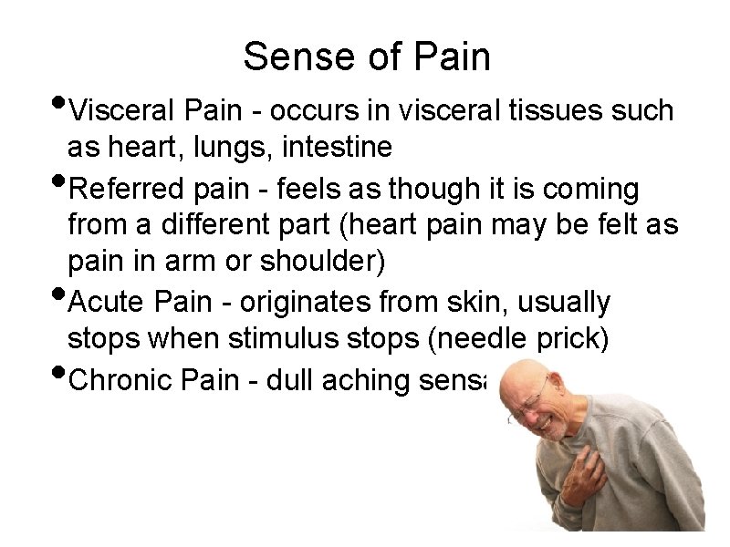 Sense of Pain • Visceral Pain - occurs in visceral tissues such • •