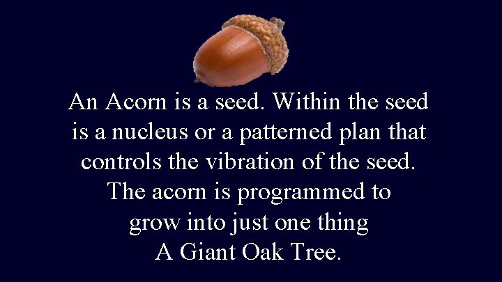 An Acorn is a seed. Within the seed is a nucleus or a patterned