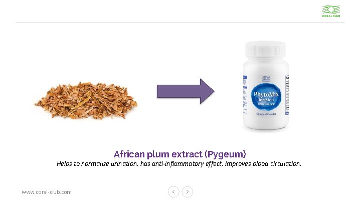 African plum extract (Pygeum) Helps to normalize urination, has anti-inflammatory effect, improves blood circulation.