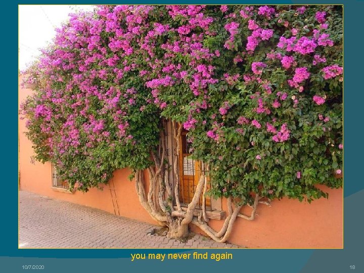 you may never find again 10/7/2020 18 