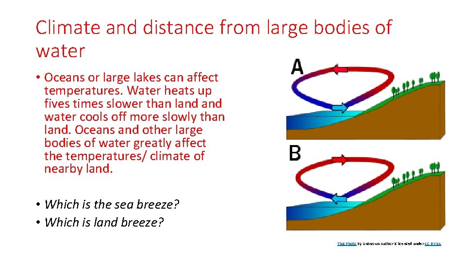 Climate and distance from large bodies of water • Oceans or large lakes can