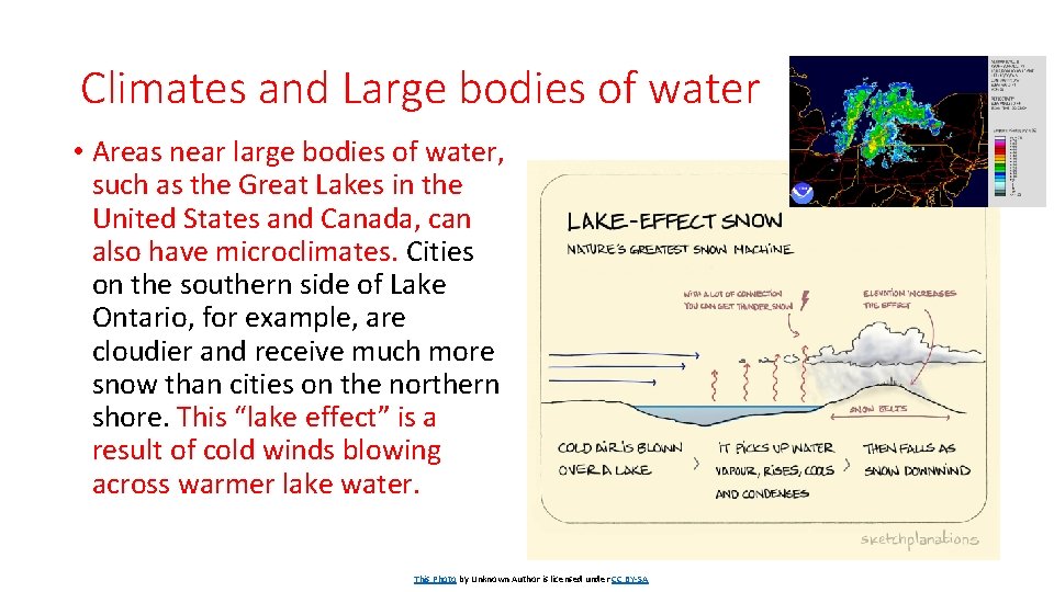 Climates and Large bodies of water • Areas near large bodies of water, such