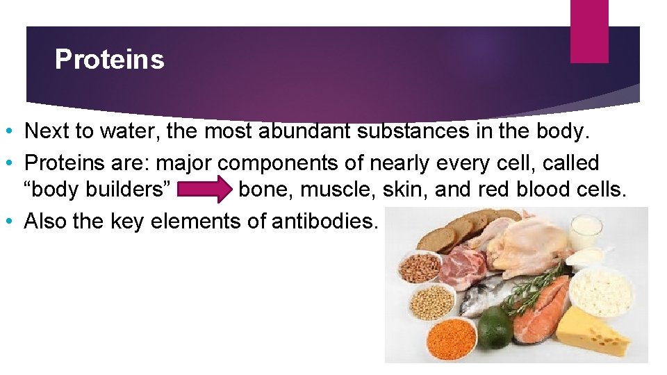 Proteins • Next to water, the most abundant substances in the body. • Proteins