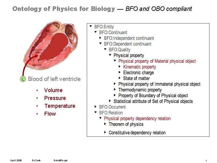 Ontology of Physics for Biology — BFO and OBO compliant Blood of left ventricle