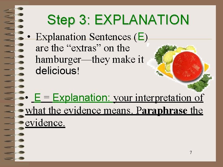 Step 3: EXPLANATION • Explanation Sentences (E) are the “extras” on the hamburger—they make