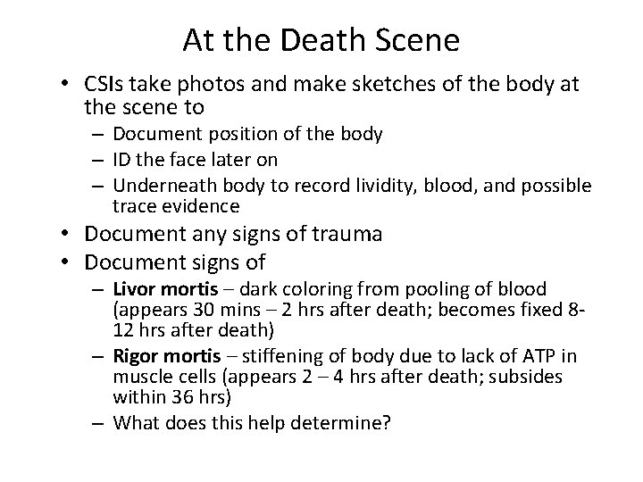 At the Death Scene • CSIs take photos and make sketches of the body
