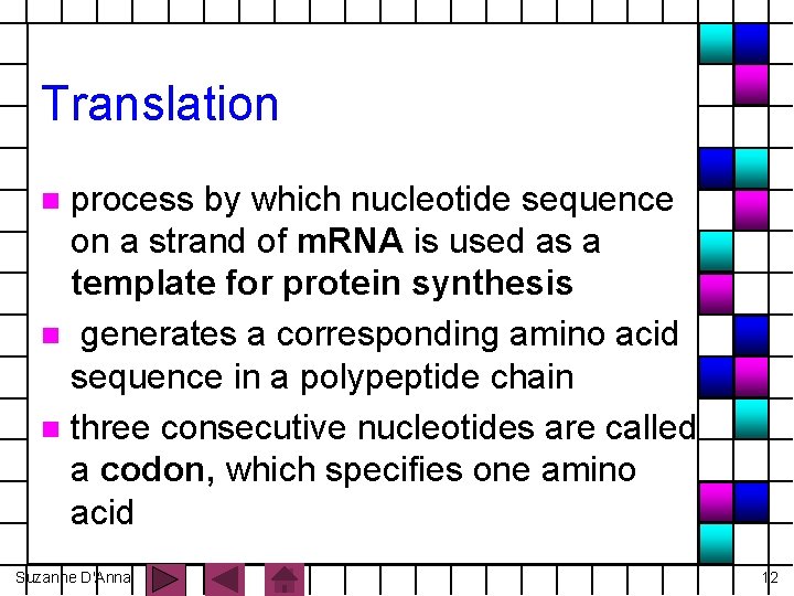 Translation process by which nucleotide sequence on a strand of m. RNA is used