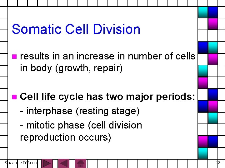 Somatic Cell Division n results in an increase in number of cells in body