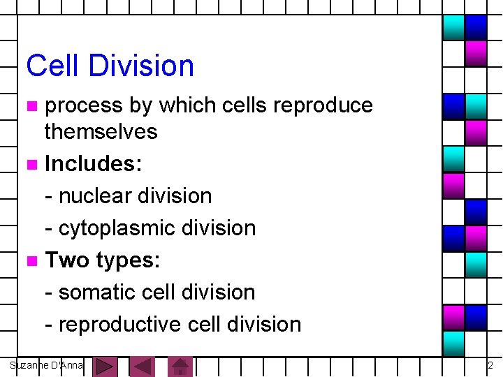 Cell Division process by which cells reproduce themselves n Includes: - nuclear division -