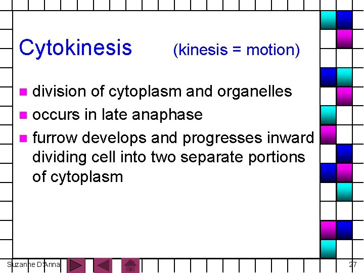 Cytokinesis (kinesis = motion) division of cytoplasm and organelles n occurs in late anaphase