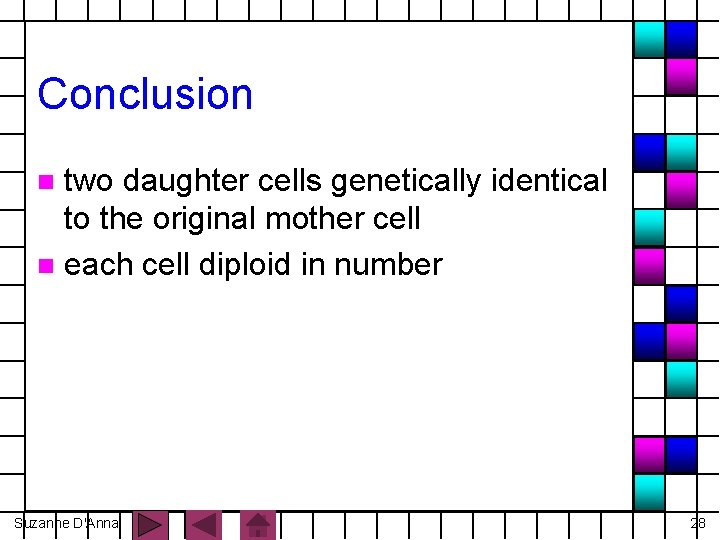 Conclusion two daughter cells genetically identical to the original mother cell n each cell