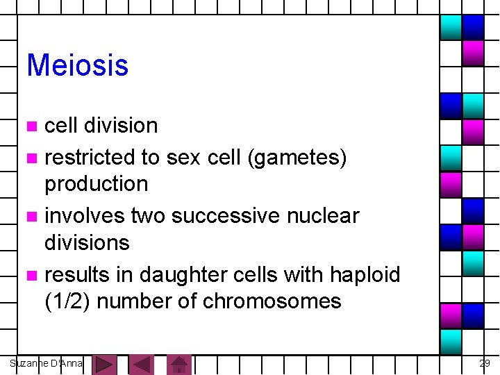 Meiosis cell division n restricted to sex cell (gametes) production n involves two successive
