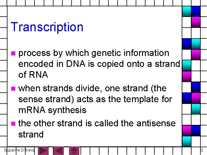 Transcription process by which genetic information encoded in DNA is copied onto a strand