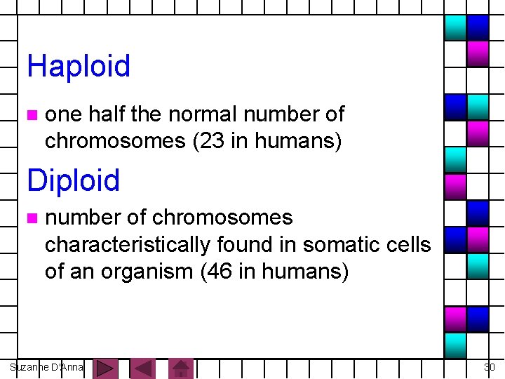 Haploid n one half the normal number of chromosomes (23 in humans) Diploid n