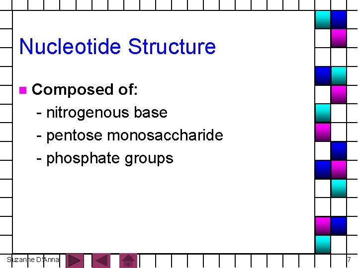 Nucleotide Structure n Composed of: - nitrogenous base - pentose monosaccharide - phosphate groups