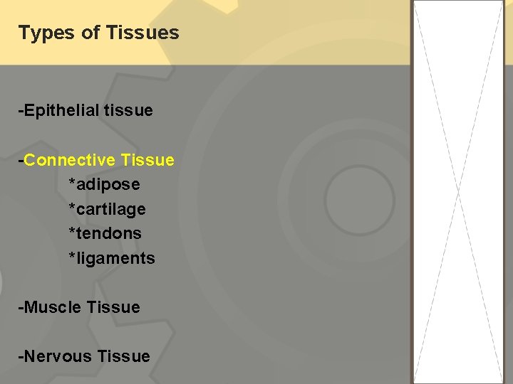Types of Tissues -Epithelial tissue -Connective Tissue *adipose *cartilage *tendons *ligaments -Muscle Tissue -Nervous