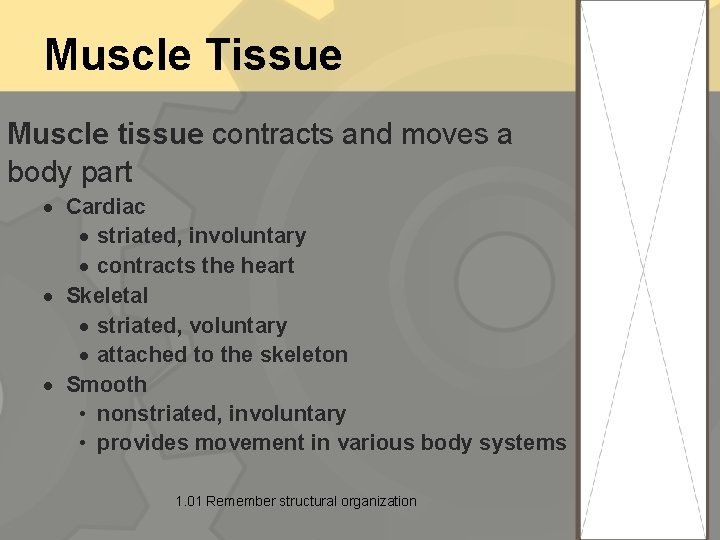 Muscle Tissue Muscle tissue contracts and moves a body part Cardiac striated, involuntary contracts