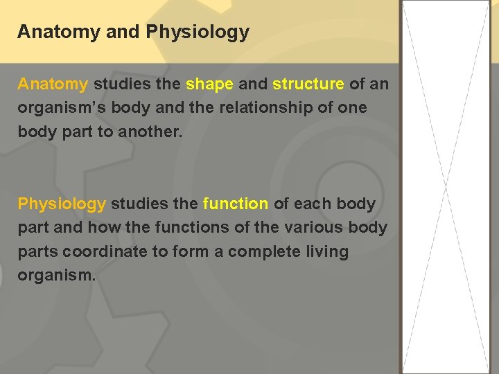 Anatomy and Physiology Anatomy studies the shape and structure of an organism’s body and