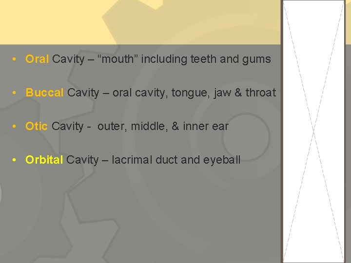  • Oral Cavity – “mouth” including teeth and gums • Buccal Cavity –