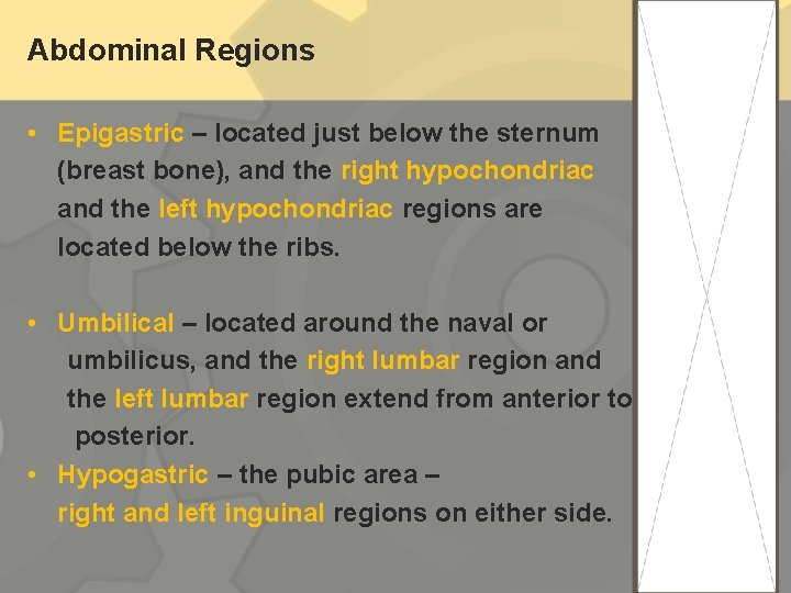 Abdominal Regions • Epigastric – located just below the sternum (breast bone), and the