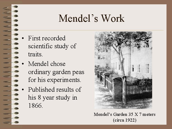 Mendel’s Work • First recorded scientific study of traits. • Mendel chose ordinary garden