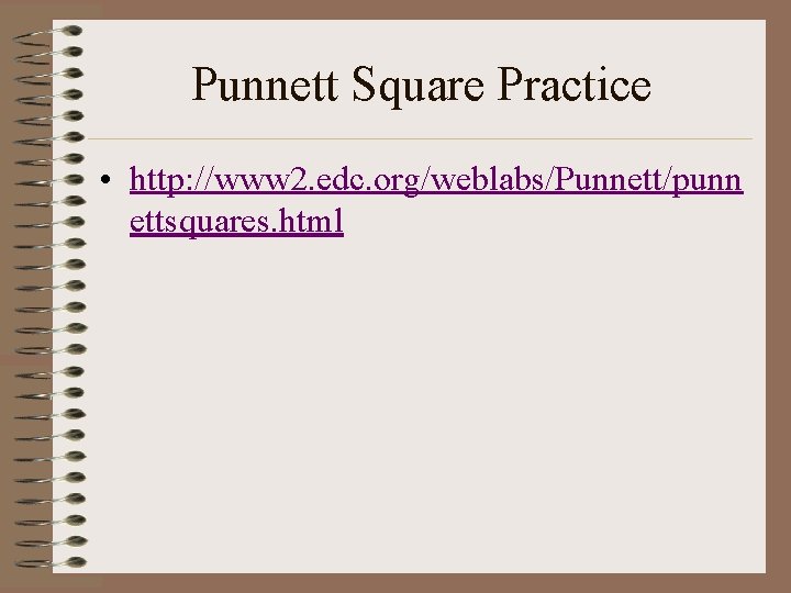 Punnett Square Practice • http: //www 2. edc. org/weblabs/Punnett/punn ettsquares. html 