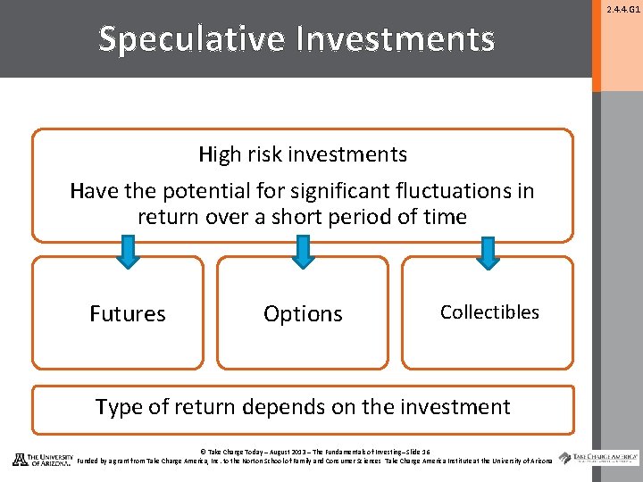 Speculative Investments High risk investments Have the potential for significant fluctuations in return over