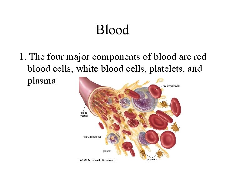 Blood 1. The four major components of blood are red blood cells, white blood