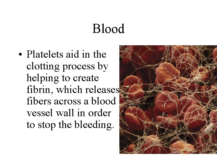 Blood • Platelets aid in the clotting process by helping to create fibrin, which