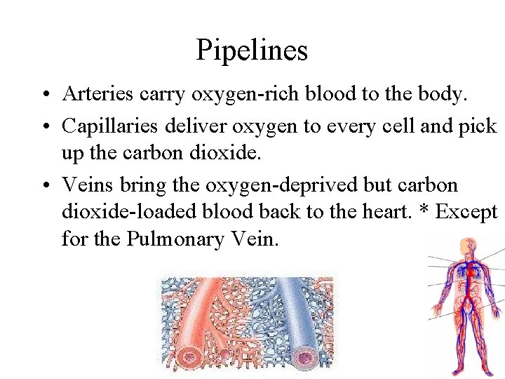 Pipelines • Arteries carry oxygen-rich blood to the body. • Capillaries deliver oxygen to